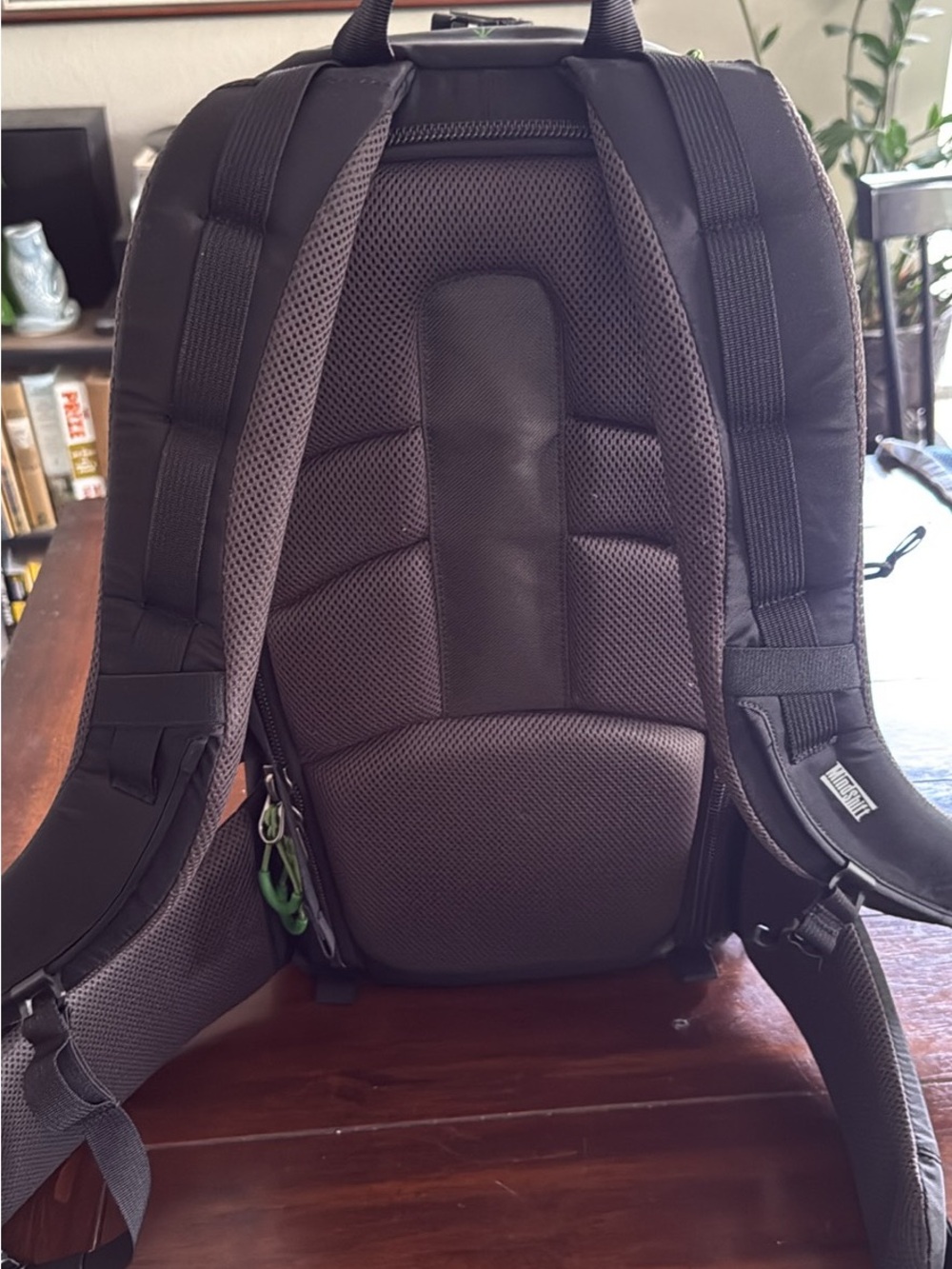 Mindshift Backlight 18l Camera Backpack View 3